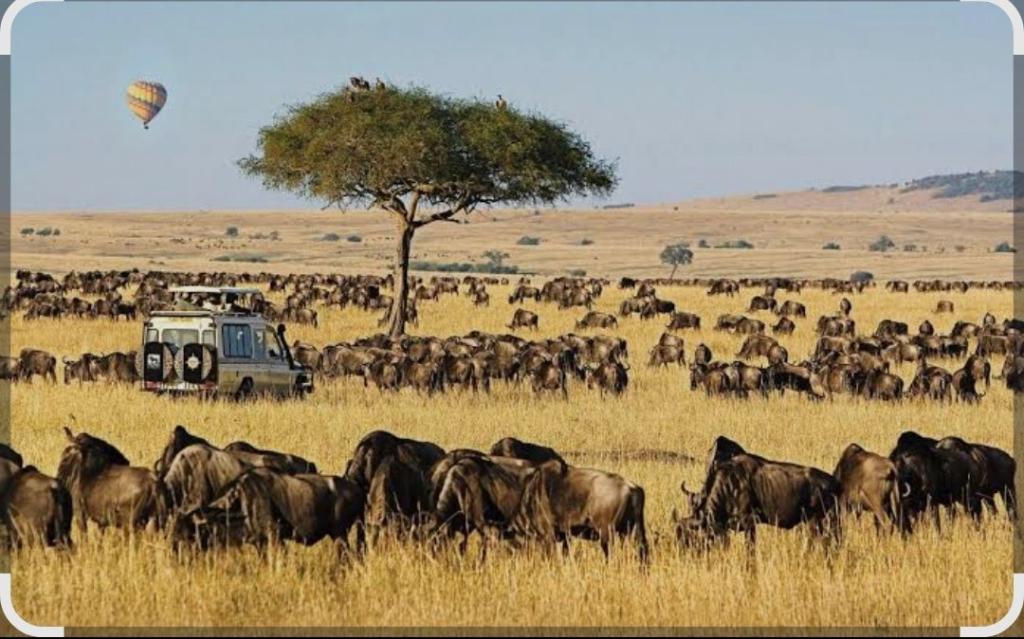 Maasai Mara Officially Listed in World Book of Records