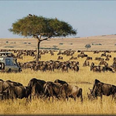 Maasai Mara Officially Listed in World Book of Records