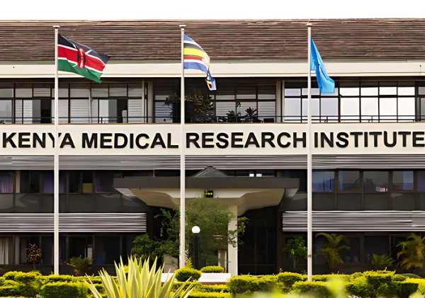 Parliament Moves to Regulate Traditional Medicine!
