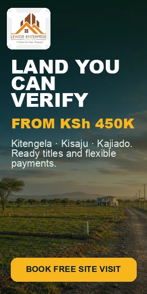 Lewide Properties — land you can verify